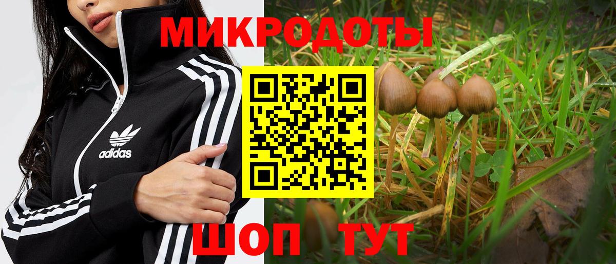Кыштым  Псилоцибиновые грибы прущие грибы  Вход с VPN 