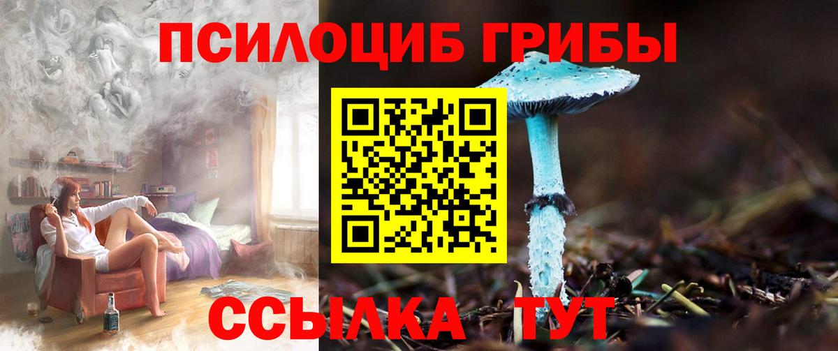 Альфа ПВП Кыштым